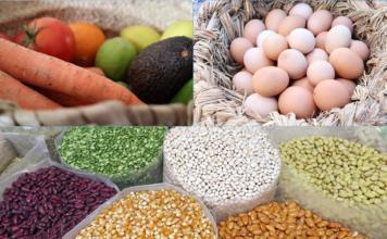 Panier alimentaire et conditions de sécurité alimentaire, décembre 2024