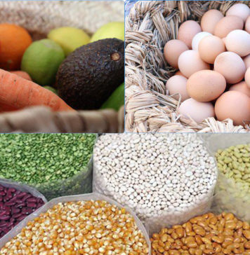 Panier alimentaire et conditions de sécurité alimentaire, décembre 2024