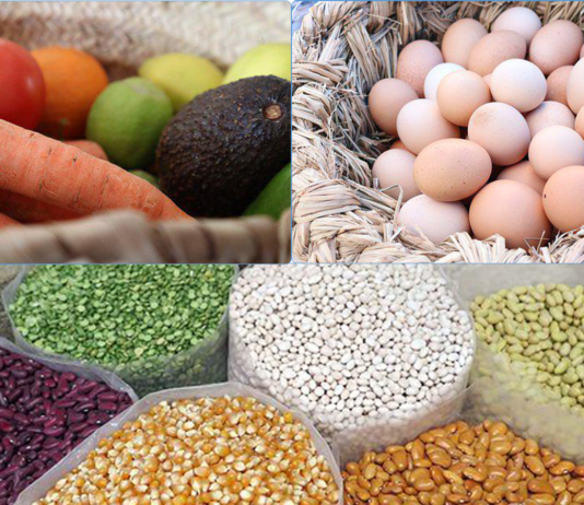 Panier alimentaire et conditions de sécurité alimentaire, février 2026